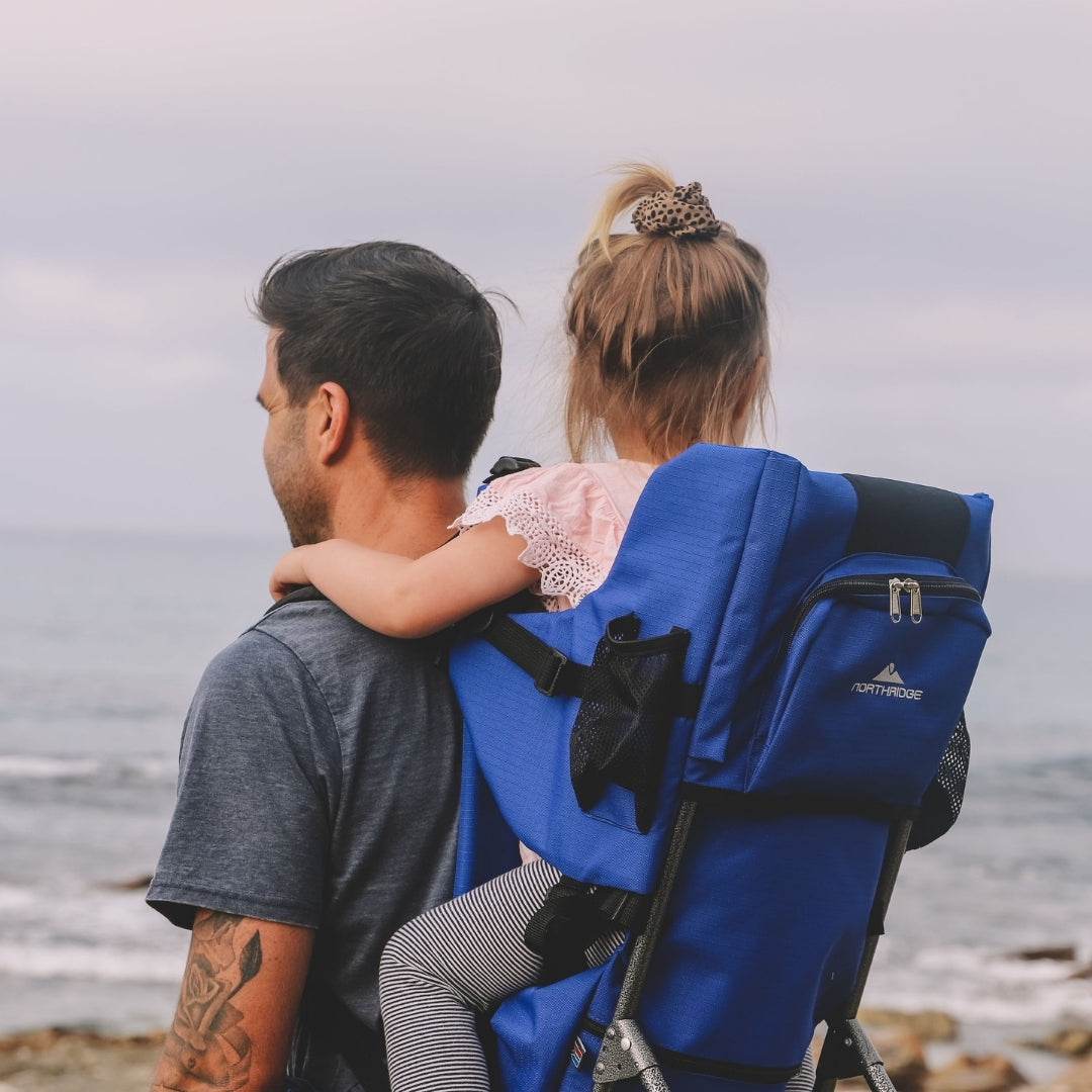 north face babies backpack carrier Northridge Baby Carrier